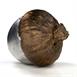 Bronze/Aluminum Water Oak Acorn Cast - Angled View Picture.